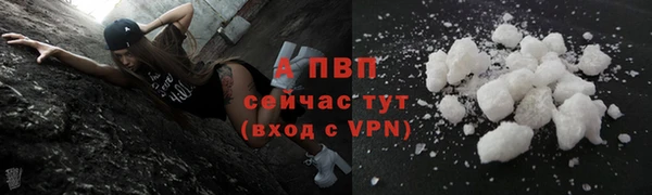 сатива Краснослободск