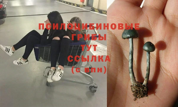 мдпв Куйбышев