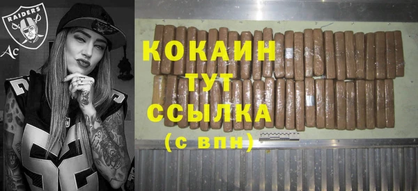 сатива Краснослободск