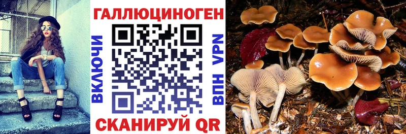 Галлюциногенные грибы мицелий  магазин    Моршанск 